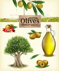 Realistic Vector Illustration Of Fruit Olives Olive Vector Illustration Vector Artwork