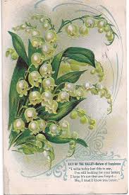 Antique Lily Of The Valley Postcard Greetings Quot Return Of Happiness Quot Postmarked 1910 Wonderful Sentiments Lily Of The Valley Antique Postcard Postcard