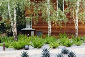 Design With Cactus Memorial Garden Garden Desert Landscaping