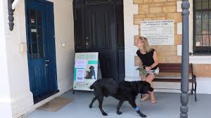The animal medical clinic provides exceptional veterinary care in two locations: Adelaide Vet Clinic Cat Dog Small Pets Veterinary Specialists In Adelaide