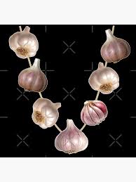 Garlic in Culture