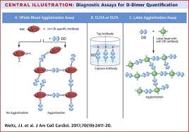 Many factors influence the body's production of vitamin d, including age, weight, and air quality. A Test In Context D Dimer Sciencedirect