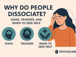 Image result for Dissotis gilgiana