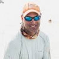 PDF) Shark nursery areas: concepts, definition, characterization and  assumptions