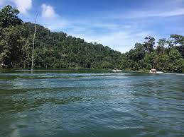 Taman negeri royal belum, gerik perak. Rahsia Alam 130 Tahun Royal Belum Pukau Pengunjung Libur