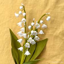 See more ideas about cards, card making, cards handmade. Crepe Paper Lily Of The Valley Flower Pattern Tutorial Lia Griffith