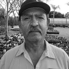 Residential & Commercial Landscaping Company