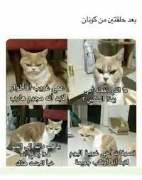 Pin By Ill 25 On ليه مكشر Funny Photo Memes Cute Love Memes Fun Quotes Funny
