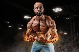 Best Fat Burner Pills 2022 Top Fat Burning Supplements For Results Courier Herald