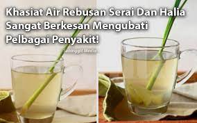 Namun ada yang perlu anda ketahui sebelum berniat untuk. Khasiat Dan Kebaikan Air Rebusan Serai Dan Halia Yang Ramai Tak Tahu Sangat Berkesan Mengubati Pelbagai Penyakit My Info Maya
