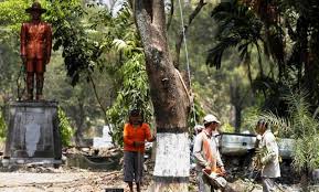 Gapura adalah sebuah portal sistem informasi layanan terpadu yang memberikan kemudahan akses akan informasi dan layanan bagi seluruh pengguna layanan sistem. Foto Bumi Perkemahan Karya Bakti Praja Demi Gapura Dkp Kota Solo Tebang Pohon