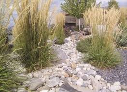 Corner Garden Ideas Hanging Baskets And Modern Backyard Garden Pergolas In 2020 Xeriscape Landscaping Large Backyard Landscaping Xeriscape