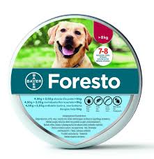Top sorrento flea & street markets: Price C 47 90 Bayer Seresto Flea Tick Collar For Large Dogs Above 8kg 18 Lbs Bayer Flea And Tick Large Dogs Fleas