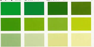 Selecting A Color Scheme When You Start A New Website Green Color Chart Green Bedroom Colors Green Pallete
