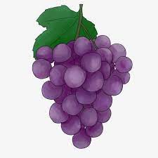 Hand Painted Fruit Grape Illustration Png And Psd Illustration De Fruits Dessin Fruits Grappe De Raisin