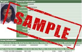 Arrest Records Persopo People Search Arrest Records Public Records Records