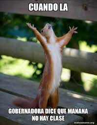 Sponsor mañana empieza clases marcos otavalo. Cuando La Gobernadora Dice Que Manana No Hay Clase Happy Squirrel Make A Meme
