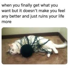 Very funny funny cat memes clean. 100 Funniest Cat Memes Ever