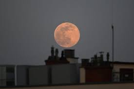Une super lune rose va éclairer le ciel le 27 avril prochain, un phénomène rare et somptueux va se produire pour la première fois de l'année. Vutjd1tukq9kpm
