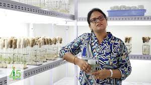 Icrisat At 45 My Wish For The Drylands Dr Pooja Bhatnagar Mathur Youtube Get pooja bhatnagar's contact information, age, background check, white pages, liens, civil records, marriage history, divorce records & email. icrisat at 45 my wish for the drylands dr pooja bhatnagar mathur