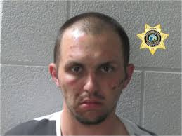 Etowah man charged with breaking into vehicles