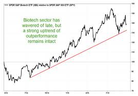 Dont Dump Biotechnology Stocks Yet Says Chart Guru Thomas