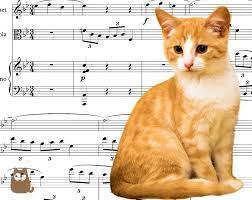 He has made albums of music specifically for cats, which include special purring sound effects to make the felines feel like a kitten again. What Music Do Cats Like Species Appropriate Music For Cats
