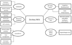 Lastly, camel milk may benefit neurodegenerative diseases like parkinson's and alzheimer's, but only a few animal studies have investigated this potential. Nutritional And Health Benefits Of Donkey Milk