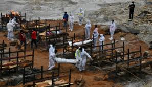 Los hongos que causan esa enfermedad. Hongo Negro En Pacientes Covid En India No Debe Causar Alarma Considera Lopez Gatell Aristegui Noticias