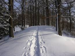 Located 2 mi from na litavce, the property features a garden and free private parking. Brdska Vrchovina Wikipedia