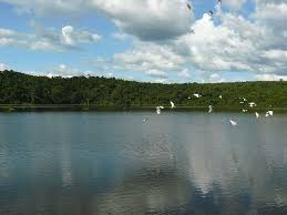 file lake ravelobe ankarafantsika national park madagascar jpg geografia