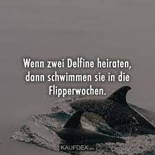 Wenn Zwei Delfine Heiraten Dann Schwimmen Sie In Die Kaufdex Humor Lustig Hochzeit Witze Lustige Humor Bilder