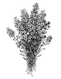 Sfondi gratis hd, immagini di mazzo di fiori (en: 2 120 964 Foto Mazzo Di Fiori Immagini E Vettoriali
