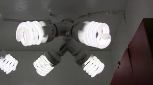 The t5 tubes are another type of fluorescent that is popular for plants. How To Build A 184 Watt Cfl Grow Light For Overwintering Plants Youtube