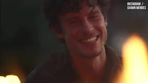 Shawn Mendes 'Why Why Why' Lyrics Meaning Explained