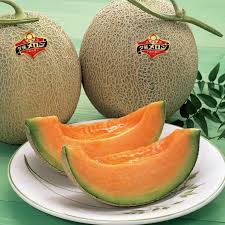 Yubari King Melon adalah salah satu jenis melon paling terkenal dan mewah dari Jepang, khususnya dari kota Yubari di Pulau Hokkaido. Berikut beberapa hal menarik tentang Yubari King Melon: 1.Asal dan Lokasi