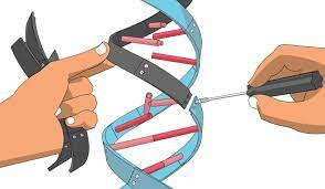 Biological control has been a valuable tactic in pest management programs around the world for many years, but the overall level of establishment of these natural enemies was calculated to be 34%, with complete suppression of. Benefits Risks Of Biotechnology Future Of Life Institute