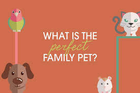 Click today to learn more about the dog breeds and puppies for sale. How To Choose The Perfect Pet For Your Family Talented Ladies Club