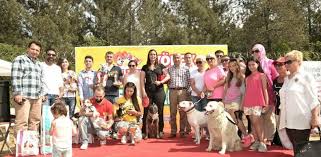 Beykoz Belediyesinin Sokak Hayvanlarini Koruma Calismalari Hayvan Calisma Korse