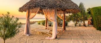 The reddish brown soils of volcanic origin in the highland areas are. Is Zanzibar Safe For Travel Tips From Enchanting Travels