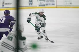 Men's Hockey Falls In AHA Championship To Canisius