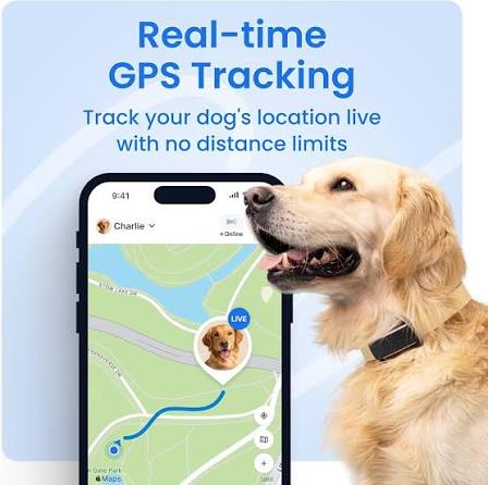 Tractive DOG 6 Smart Dog Tracker