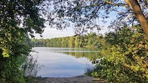 Das etwa acht hektar große und bis zu neun meter tiefe gewässer entstand. Hummelsee Spaziergang Mit Ausblick Im Norden Hamburgs Ndr De Ratgeber Reise Hamburg