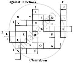 Check spelling or type a new query. Given A Crossword Puzzle Read The Clues Across And Clues Downward And Fill Up The Blank Squares Check Up Your Performance With The Correct Solution Given At The End Biology