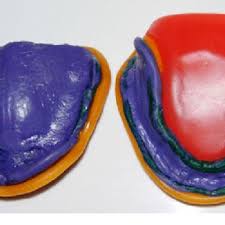 Wide assortment of european hard wax beads. Pdf A New Simplified Beading And Boxing Procedure For Elastic Impression