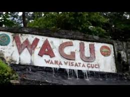 Check spelling or type a new query. Wana Wisata Guci Wagu Kab Tegal Youtube