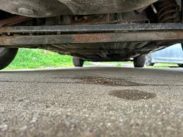 Image result for Medium Driftwood 1993 Chrysler