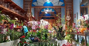Floristeria Laureles