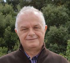 Amazon.com: Valores y temas transversales en el currículum (Claves para la  Innovación Educativa) (Spanish Edition): 9788478272280: Álvarez Martín,  Nieves, Balaguer Medina, Neus, Carol Nogué, Ricard, Delgado Arcos, Esteban,  Fernández Cruz, Manuel, Gavidia