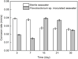 Employer's and employee's eis contribution rate: Frontiers Corrosion Behavior Of Aisi 1045 Steel In Seawater In The Presence Of Flavobacterium Sp Microbiology